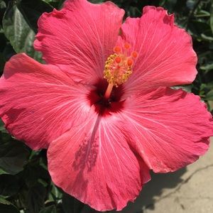 Meet your Posher, Kay